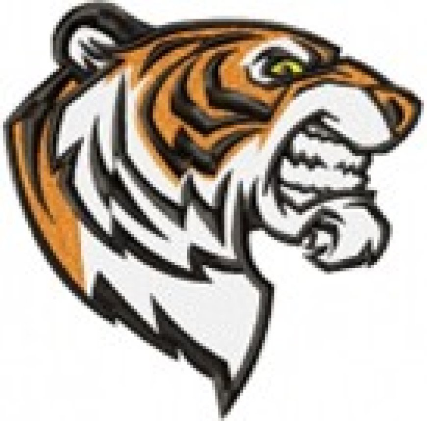 What Software Is Used to Create 3D Puffy Designs