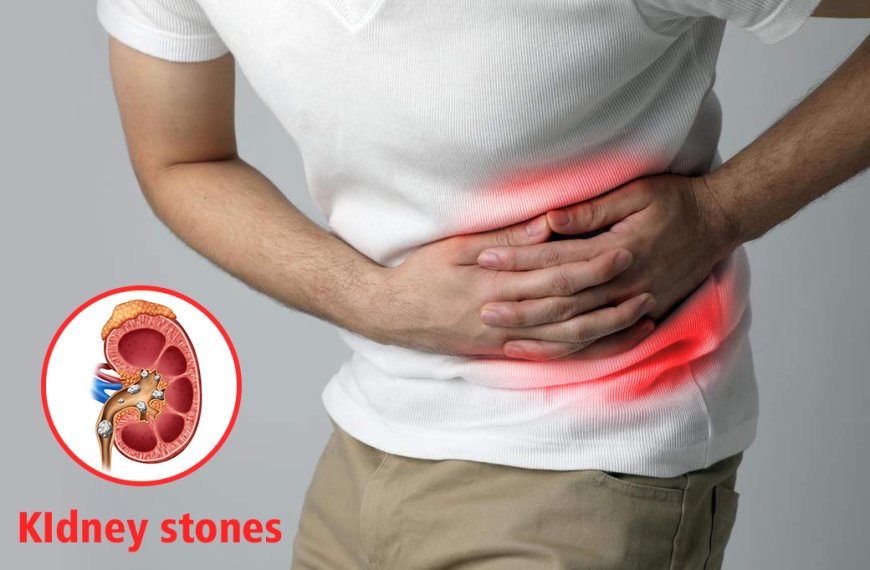 Types of Kidney Stones and Their Treatment Options Explained by Jaipur Experts