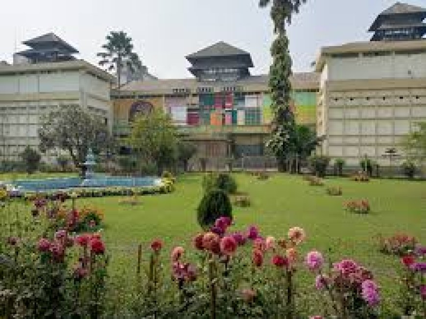 Explore Assam Tour Packages for a Memorable Travel Journey