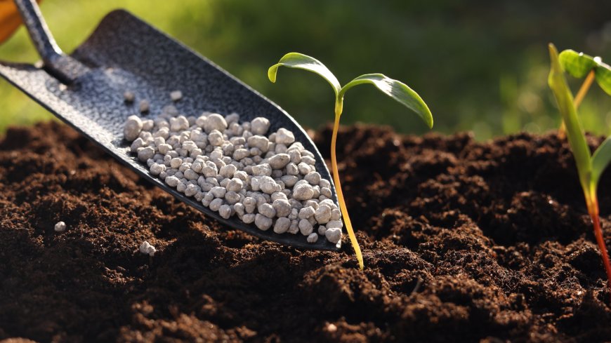 Africa Fertilizer Market to Surpass US$ 10.47 Billion by 2033, Driven by Agricultural Expansion and Food Security Initiatives