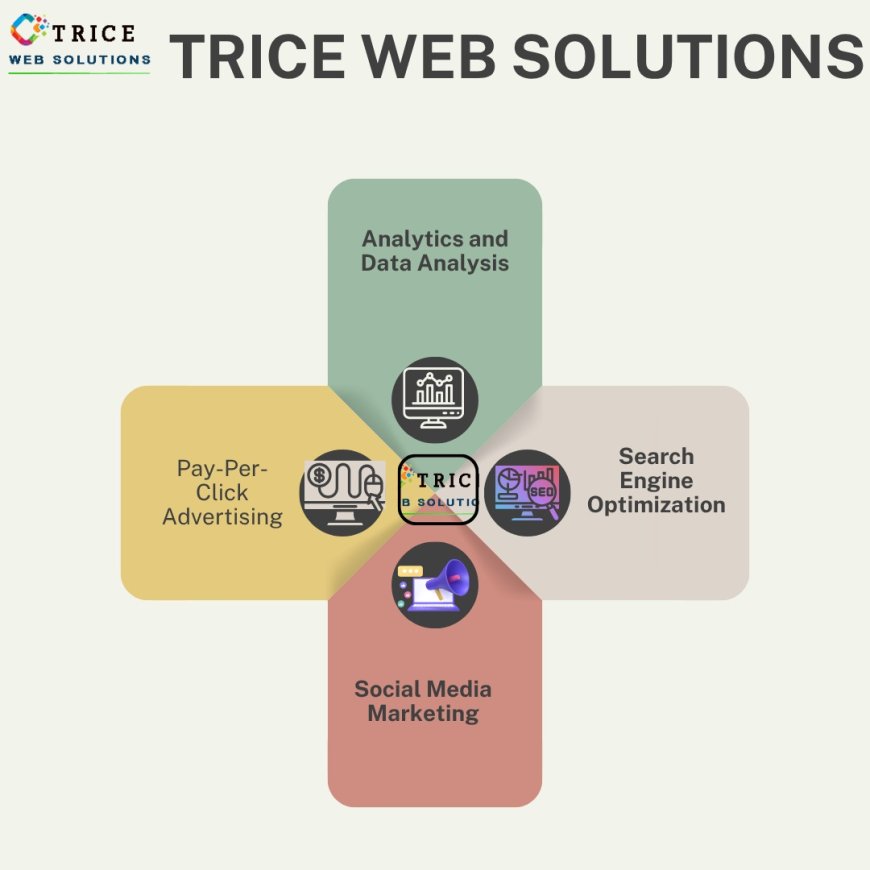 Transform Your Online Reach With Trice Global Education's Digital Expertise