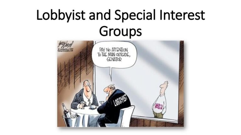 Political Interest Groups Role
